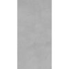 ARIA SILVER-60X120-MATT-1
