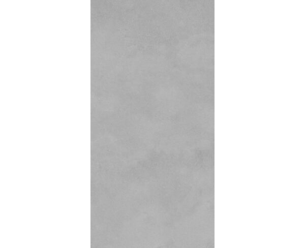 ARIA SILVER-60X120-MATT-1