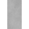 ARIA SILVER-60X120-MATT-2