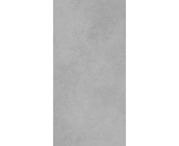 ARIA SILVER-60X120-MATT-2