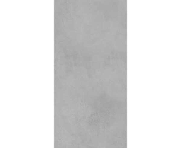 ARIA SILVER-60X120-MATT-3