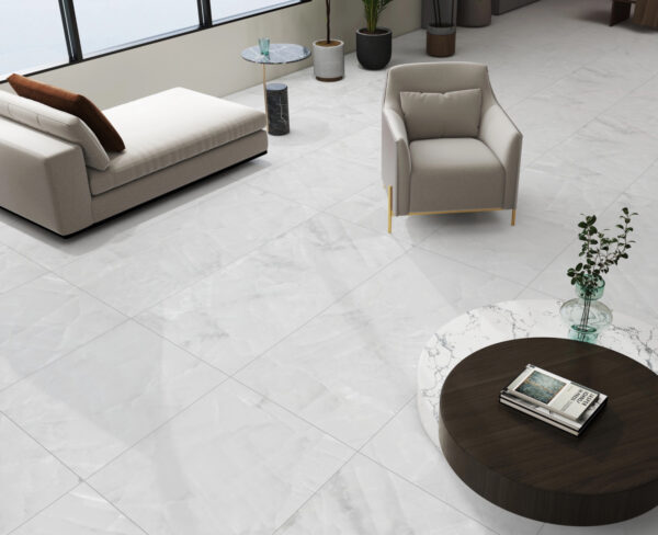 BORRA ONYX SILVER-60X120-GLOSSY & MATT-1