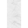 BORRA ONYX SILVER-60X120-GLOSSY & MATT-3