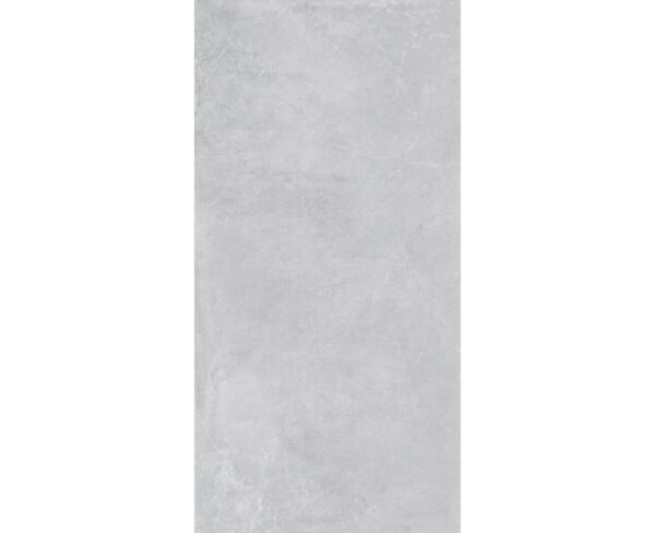 CONCEPT SILVER-60X120-GLOSSY & MATT-2