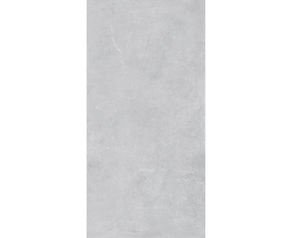 CONCEPT SILVER-60X120-GLOSSY & MATT-3