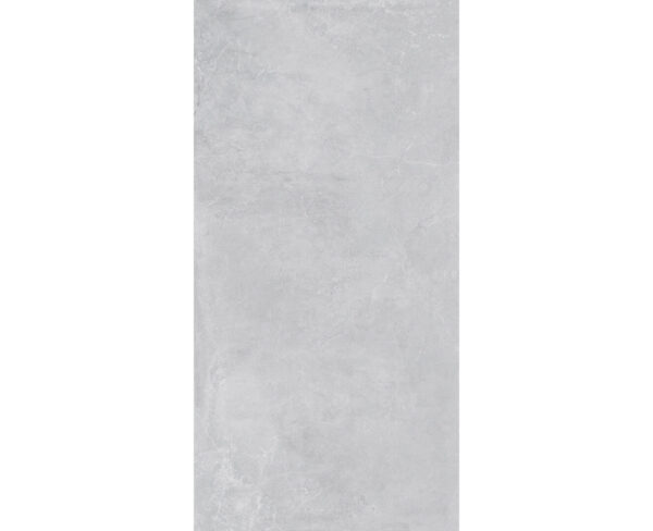 CONCEPT SILVER-60X120-GLOSSY & MATT-4