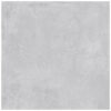 CONCEPT SILVER-60X60-MATT & GLOSSY-3