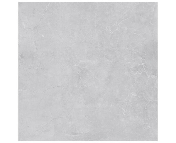 CONCEPT SILVER-60X60-MATT & GLOSSY-4