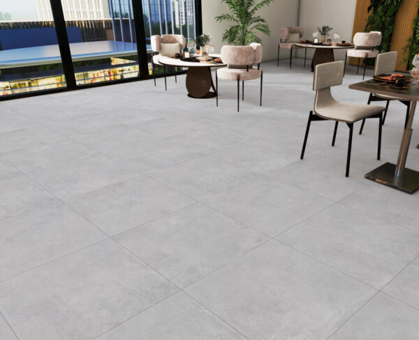 CONCEPT SILVER-60X60-MATT & GLOSSY