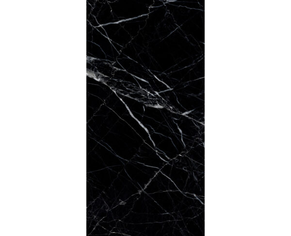 LEON MARQUINA BLACK-60X120-HIGH GLOSS-3