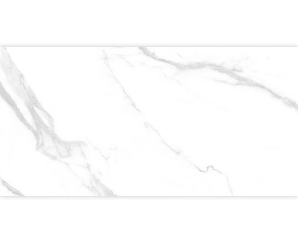 STATUARIO CARINA WHITE-30X60 GLOSSY & MATT-2