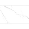 STATUARIO CARINA WHITE-30X60 GLOSSY & MATT-3