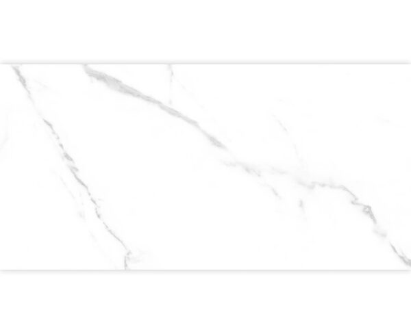 STATUARIO CARINA WHITE-30X60 GLOSSY & MATT-3