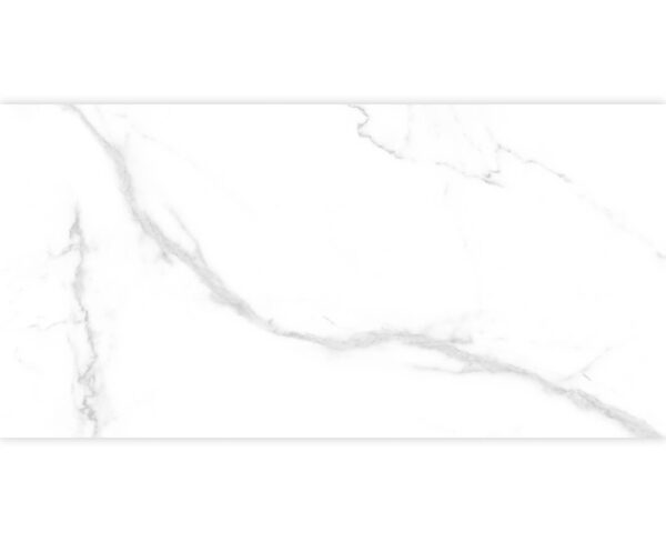 STATUARIO CARINA WHITE-30X60 GLOSSY & MATT-4