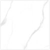 STATUARIO CARINA WHITE-60X60-GLOSSY & MATT-2