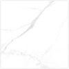 STATUARIO CARINA WHITE-60X60-GLOSSY & MATT-3