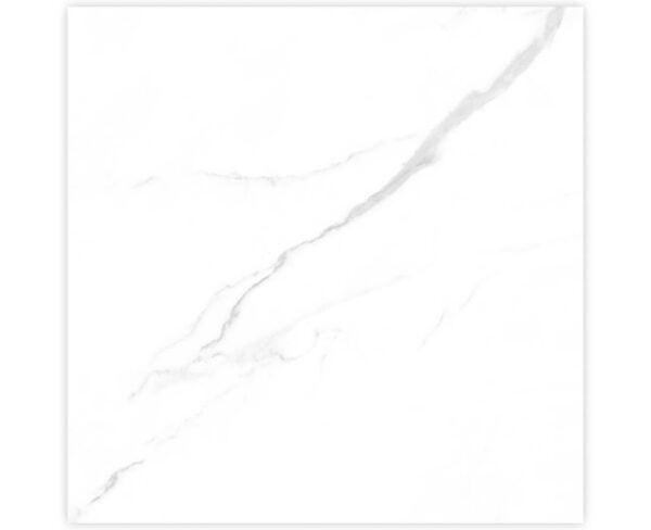 STATUARIO CARINA WHITE-60X60-GLOSSY & MATT-4