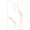 STATUARIO DALLAS GOLD-60X120-GLOSSY & MATT-2