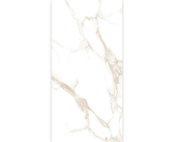 STATUARIO DALLAS GOLD-60X120-GLOSSY & MATT-2