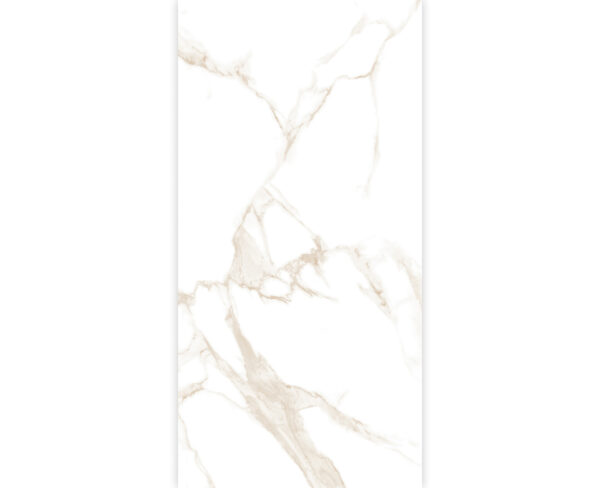 STATUARIO DALLAS GOLD-60X120-GLOSSY & MATT-3