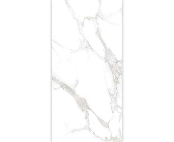 STATUARIO DALLAS SILVER-60X120-GLOSSY & MATT-2