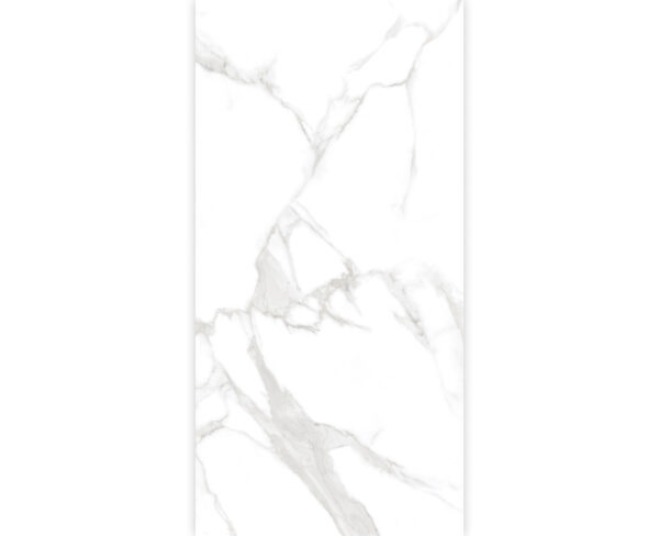 STATUARIO DALLAS SILVER-60X120-GLOSSY & MATT-3