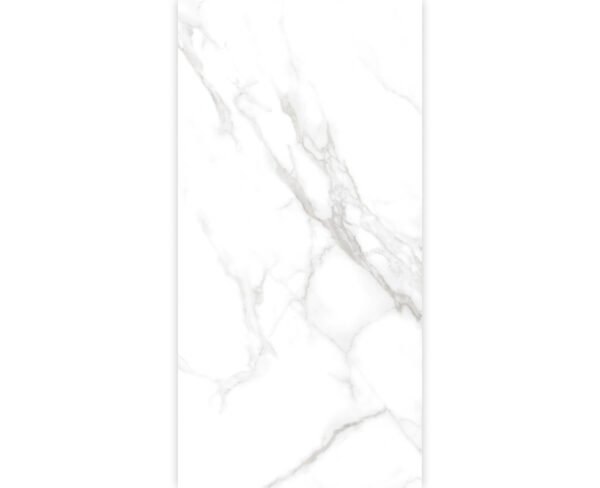 STATUARIO DALLAS SILVER-60X120-GLOSSY & MATT-4